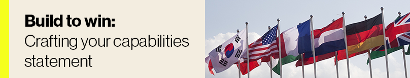 International flags raised in a row.